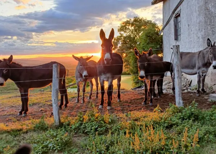 Maison L'ane Casa vacanze Lay